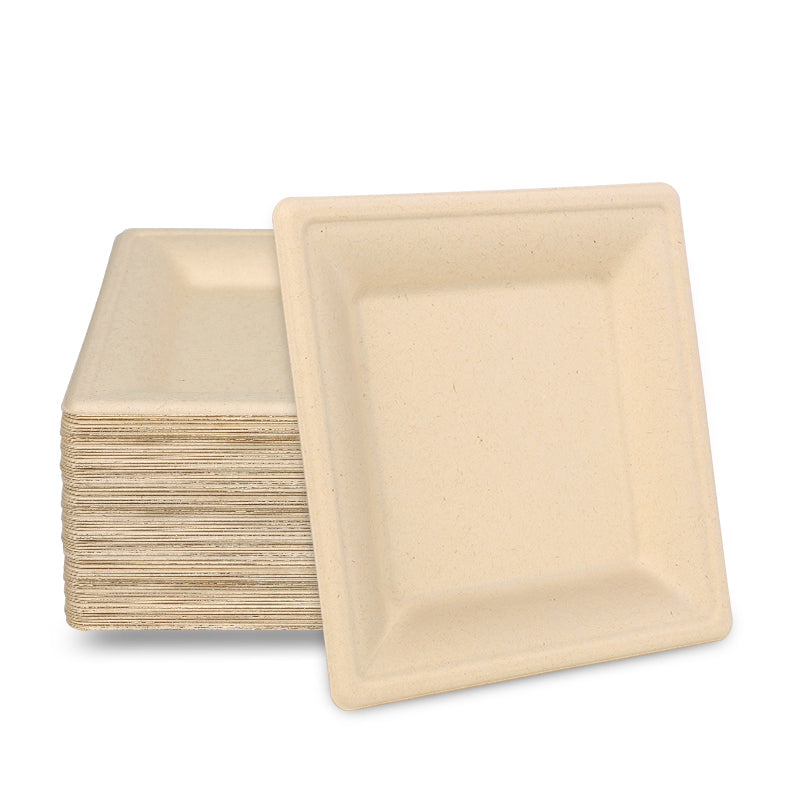 Custom Square Compostable Paper Plates