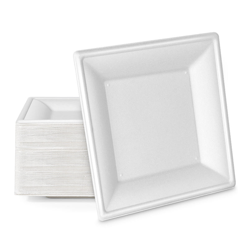 Custom Square Compostable Paper Plates